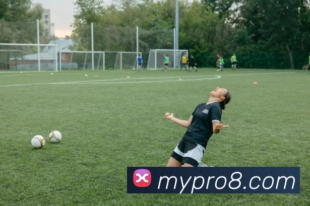 摩域体育官网APP 封面图